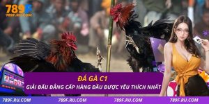 Đá gà C1