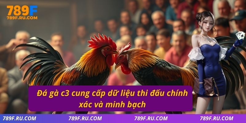 Đá gà C3 cung cấp dữ liệu thi đấu chính xác và minh bạch