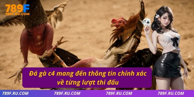 Đá gà C4 mang đến thông tin chính xác về từng lượt thi đấu