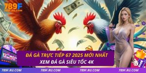 Đá gà trực tiếp 67