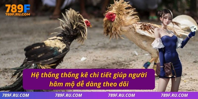 Hệ thống thống kê chi tiết giúp người hâm mộ dễ dàng theo dõi