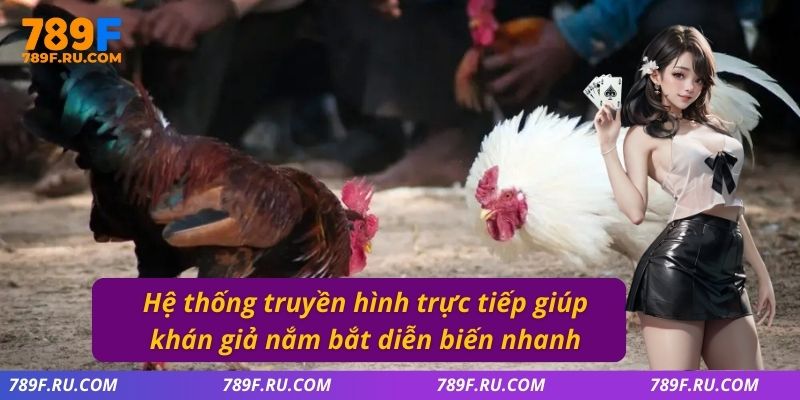 Hệ thống truyền hình trực tiếp giúp khán giả nắm bắt diễn biến nhanh