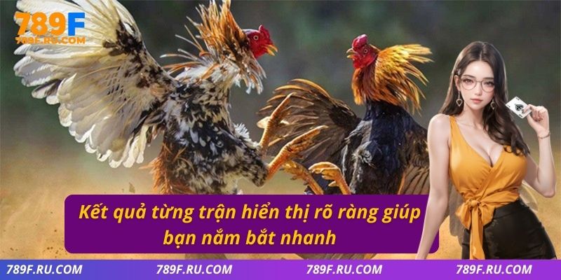 Kết quả từng trận hiển thị rõ ràng giúp bạn nắm bắt nhanh