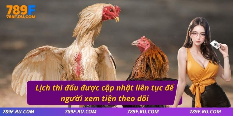 Lịch thi đấu được cập nhật liên tục để người xem tiện theo dõi