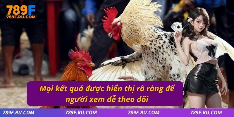 Mọi kết quả được hiển thị rõ ràng để người xem dễ theo dõi