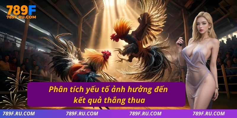 Phân tích yếu tố ảnh hưởng đến kết quả thắng thua